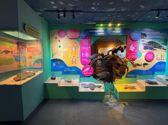 Centro de Investigaciones Paleontologicas - CIP-莱瓦镇必去景点