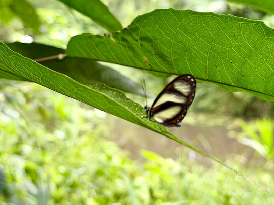 Pajaritos Agami Lodge-Loreto必去景点