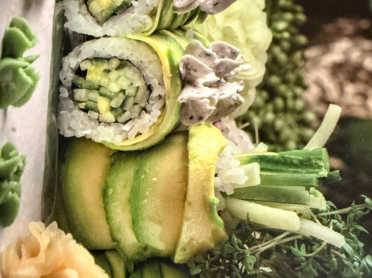 Shido-darmstadt主图