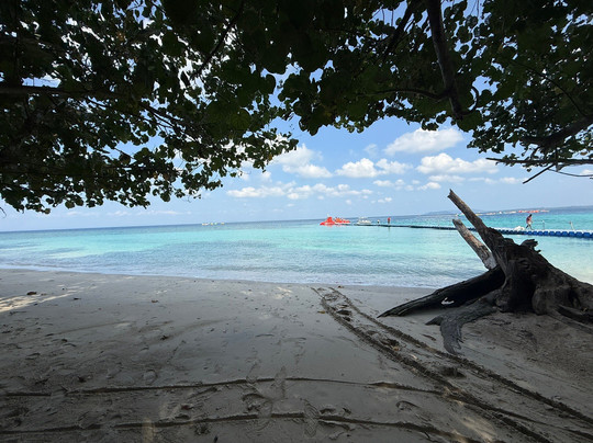 Elephant Beach-哈夫洛克岛必去景点