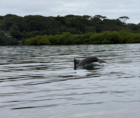 Mejitravel CR-瓜匹来斯必去景点