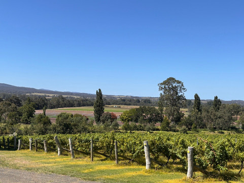 Glenmaggie Wines
