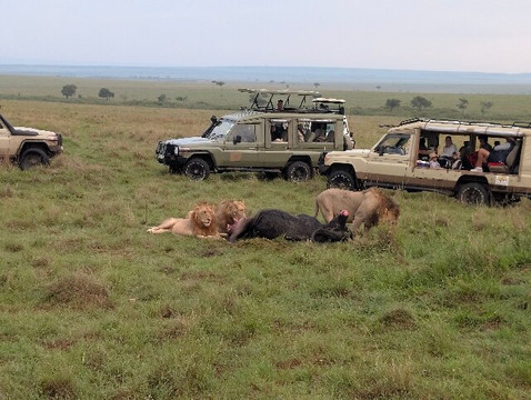 Wild Plus Escapades-马林地必去景点