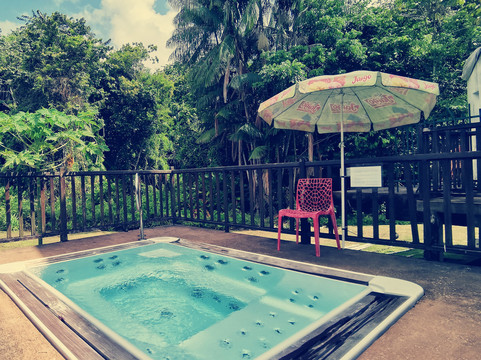 L'oiseau de Paradis主图