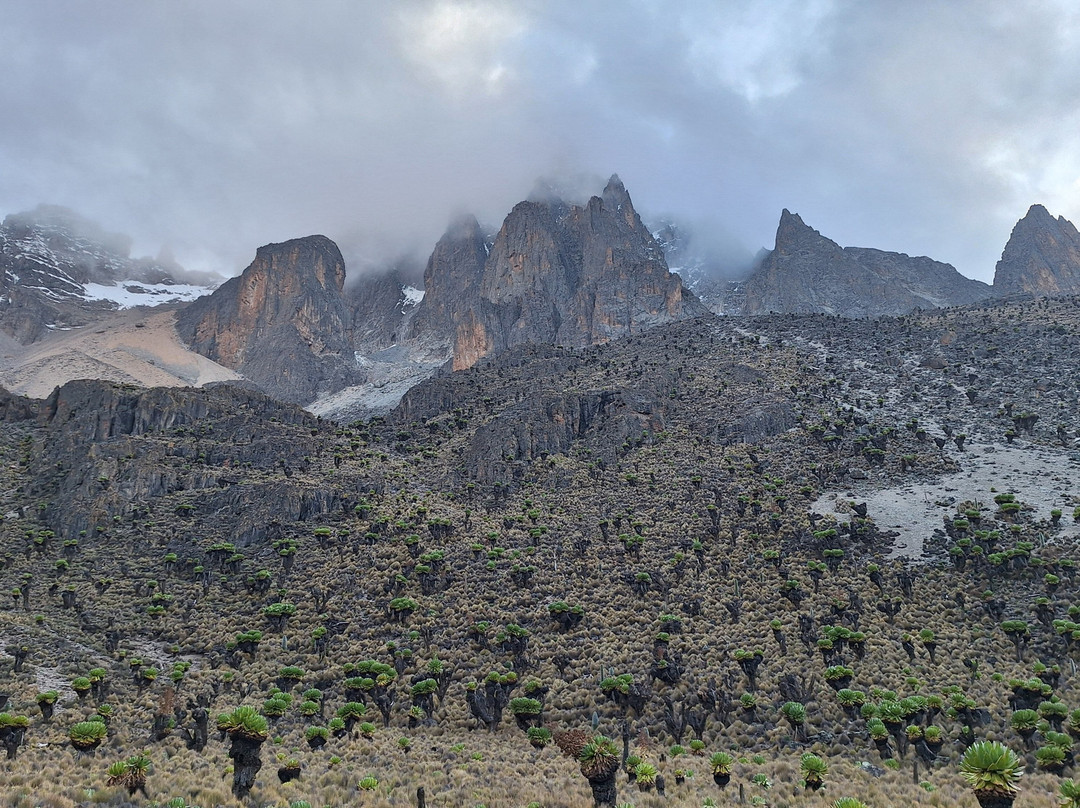 Go To Mount Kenya Climbing-内罗毕必去景点