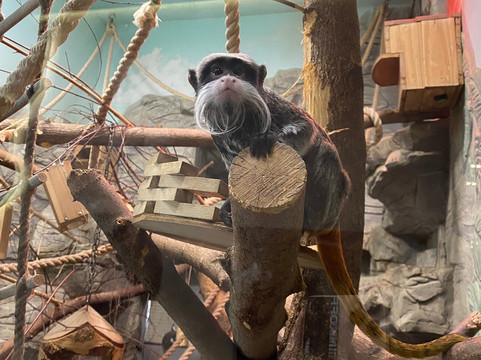 Novosibirsk Zoo-新西伯利亚必去景点