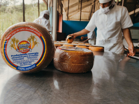 Ruta agroturistica El Palmar