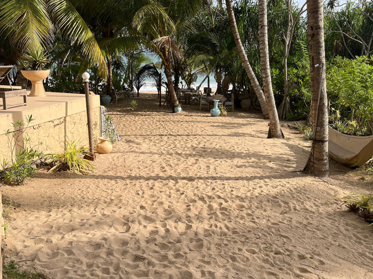 Golden Beach Paradise主图