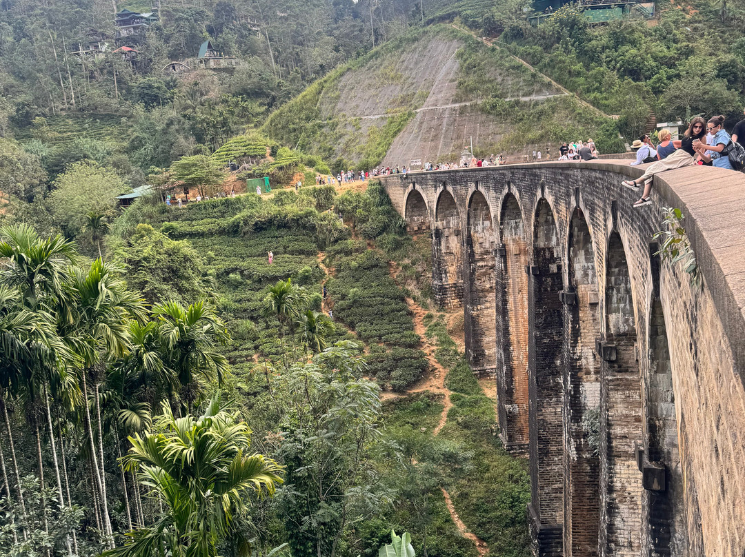Ceylon Vacay Vibes-加勒必去景点