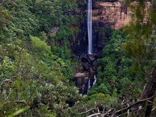 Fitzroy Falls Visitor Centre-Fitzroy Falls必去景点