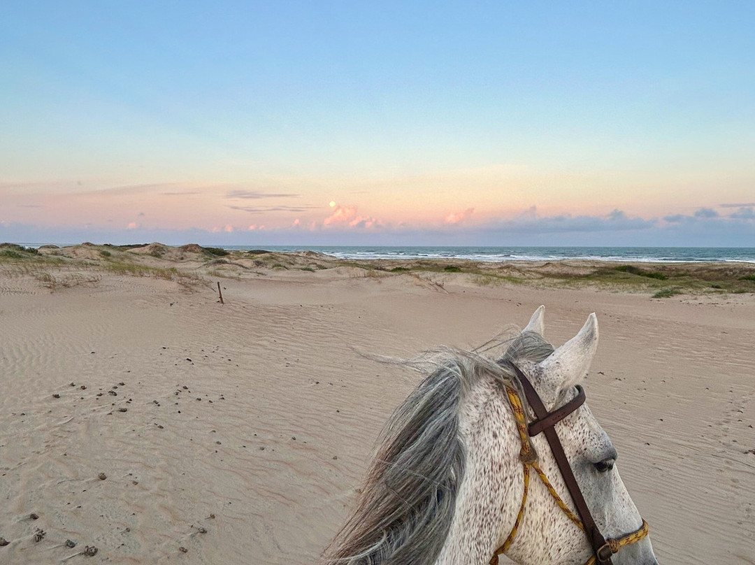 Cabalgatas Valiceras-Valizas必去景点