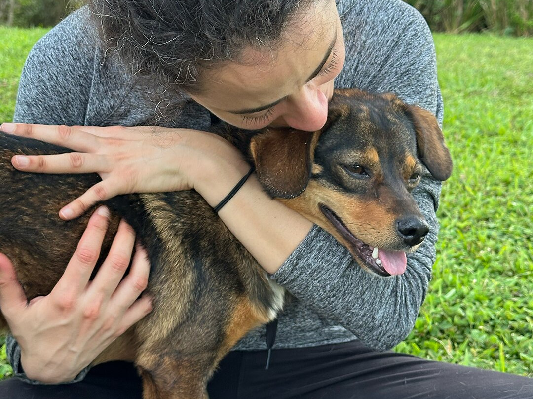 Guayabo Animal Rescue-Guayabo必去景点