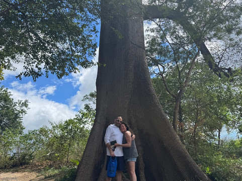 Tenorio Adventure Company-瓜纳卡斯特省必去景点