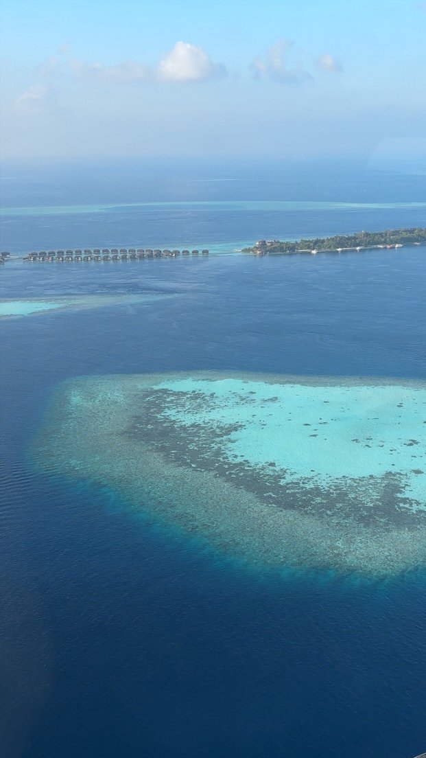 马尔代夫港丽度假酒店-官方