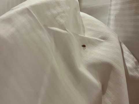 瑞士小屋酒店主图