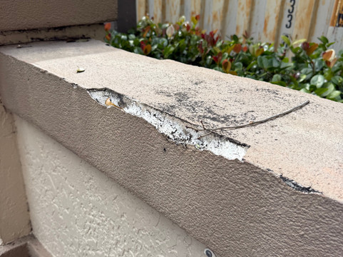 凯悦嘉轩酒店-劳德代尔堡普兰特区主图