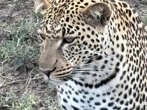 Tanzania-Experience-阿鲁沙必去景点