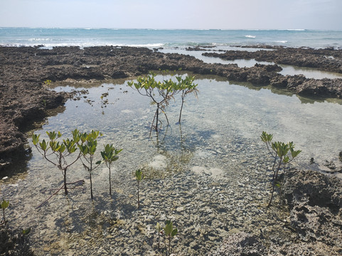 Ram Nagar Beach-Neil Island必去景点