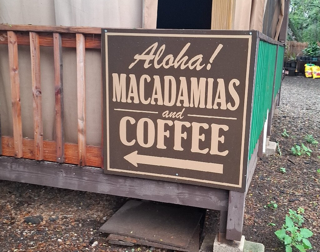 North Shore Macadamia Nut Company-哈雷瓦必去景点