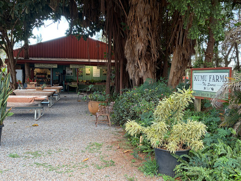Kumu Farms-摩洛凯岛必去景点