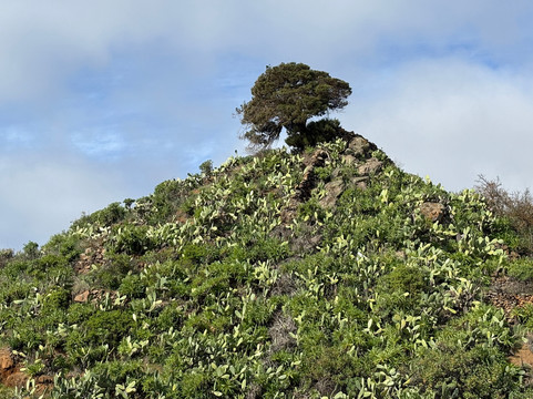 Atlantidea Senderismo El Hierro-Villa de Valverde必去景点