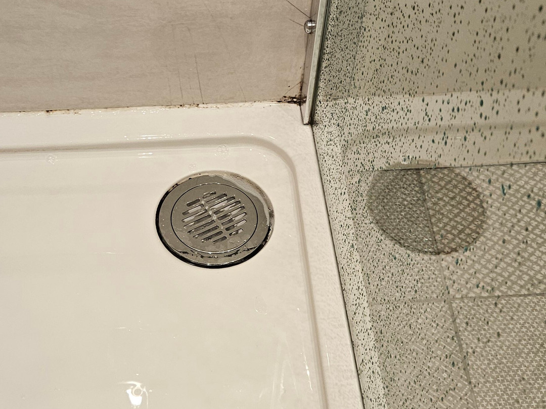 列王纹章蔻琴旅馆主图