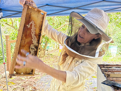Hanai Hives-哈雷瓦必去景点