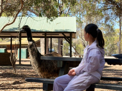 Serendip Sanctuary-Lara必去景点