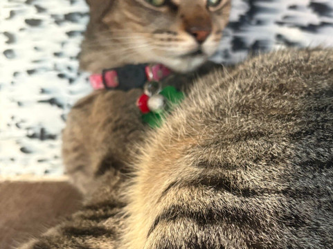 Refugio Holbox-Holbox Island必去景点