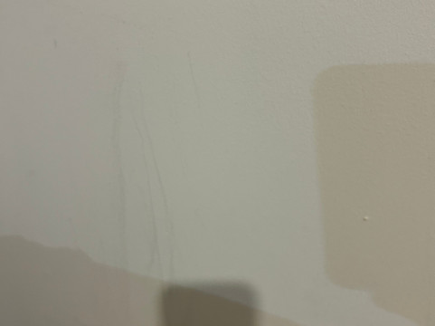 修道院之苑主图