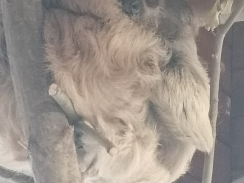 比尔公园-雷丁必去景点