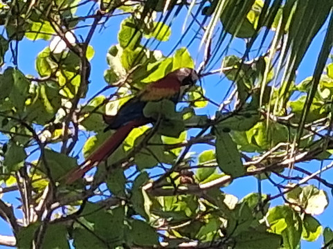 太平洋露台酒店主图