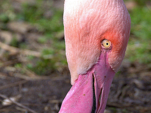 Pensthorpe-Fakenham必去景点