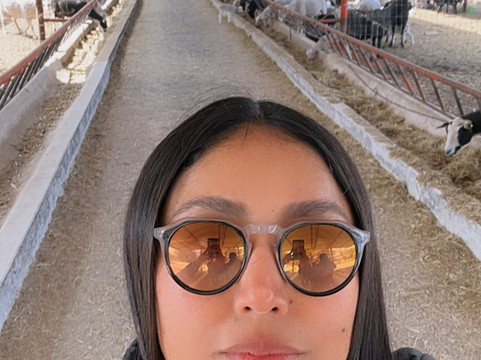 Rancho San Josemaría-克雷塔罗必去景点