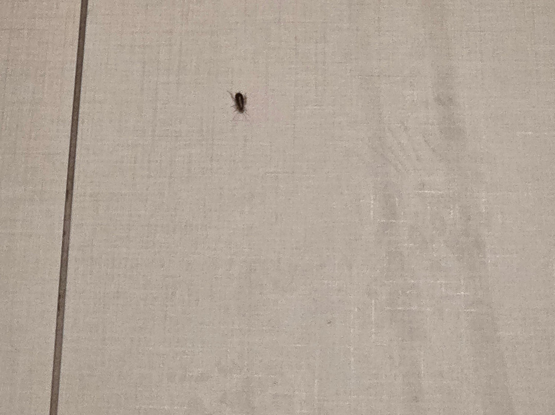 孟菲斯南海文希尔顿Home2套房酒店主图