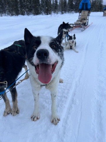 拉普兰极光&摄影之旅-阿比斯库必去景点
