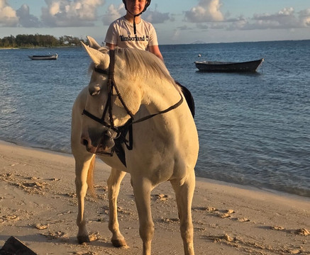 Legasea Stables Mauritius-Quatre Cocos必去景点