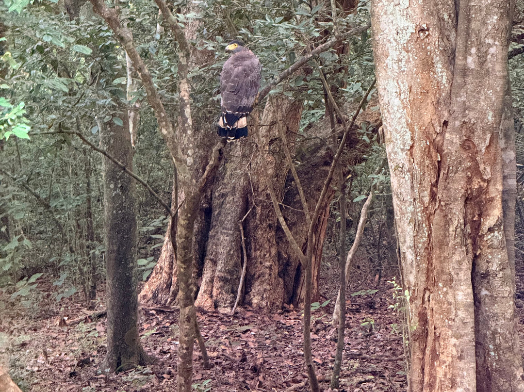 Udawalawe Safari Tours-乌达瓦拉维国家公园必去景点