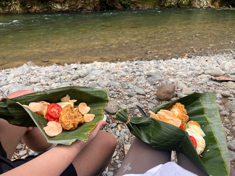 Trekking Orangutan Sumatra-武吉拉旺必去景点