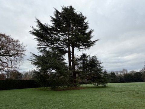 米德尔索普Spa酒店-官方