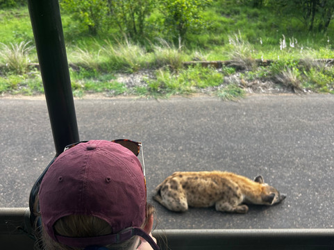 Wild Planet Safari-霍德斯普鲁特必去景点
