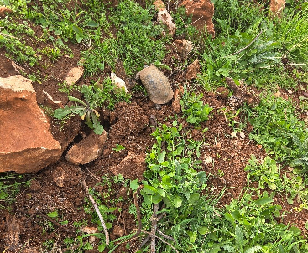 Domaine De La Pommeraie-Imouzzer Kandar必去景点