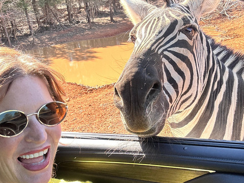 Rocky Ridge Drive Thru Safari-Eustace必去景点