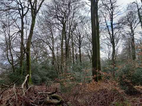 The Clock Tower-艾尔斯伯里必去景点