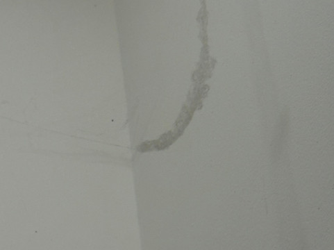 威灵顿公爵酒店主图