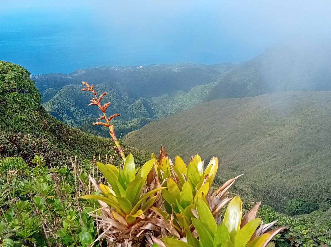 Montagne Pelée-Arrondissement of Saint-Pierre必去景点