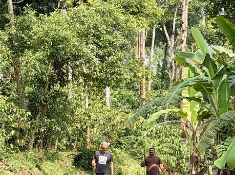 苏维斯塔拉瓦亚纳德酒店主图