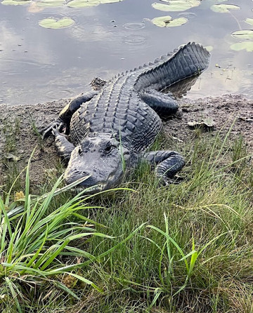 Captain Gerald Motes-Tamarac必去景点