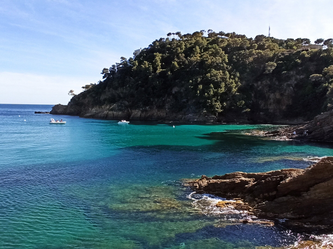 Cavalaire-Sur-Mer酒店住宿-Hotel de la Calanque