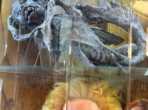 Morbitorium-卡菲利必去景点